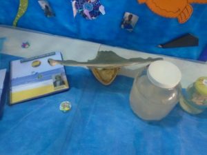 foto_2256 (1)