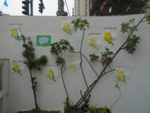foto_0617 (1)